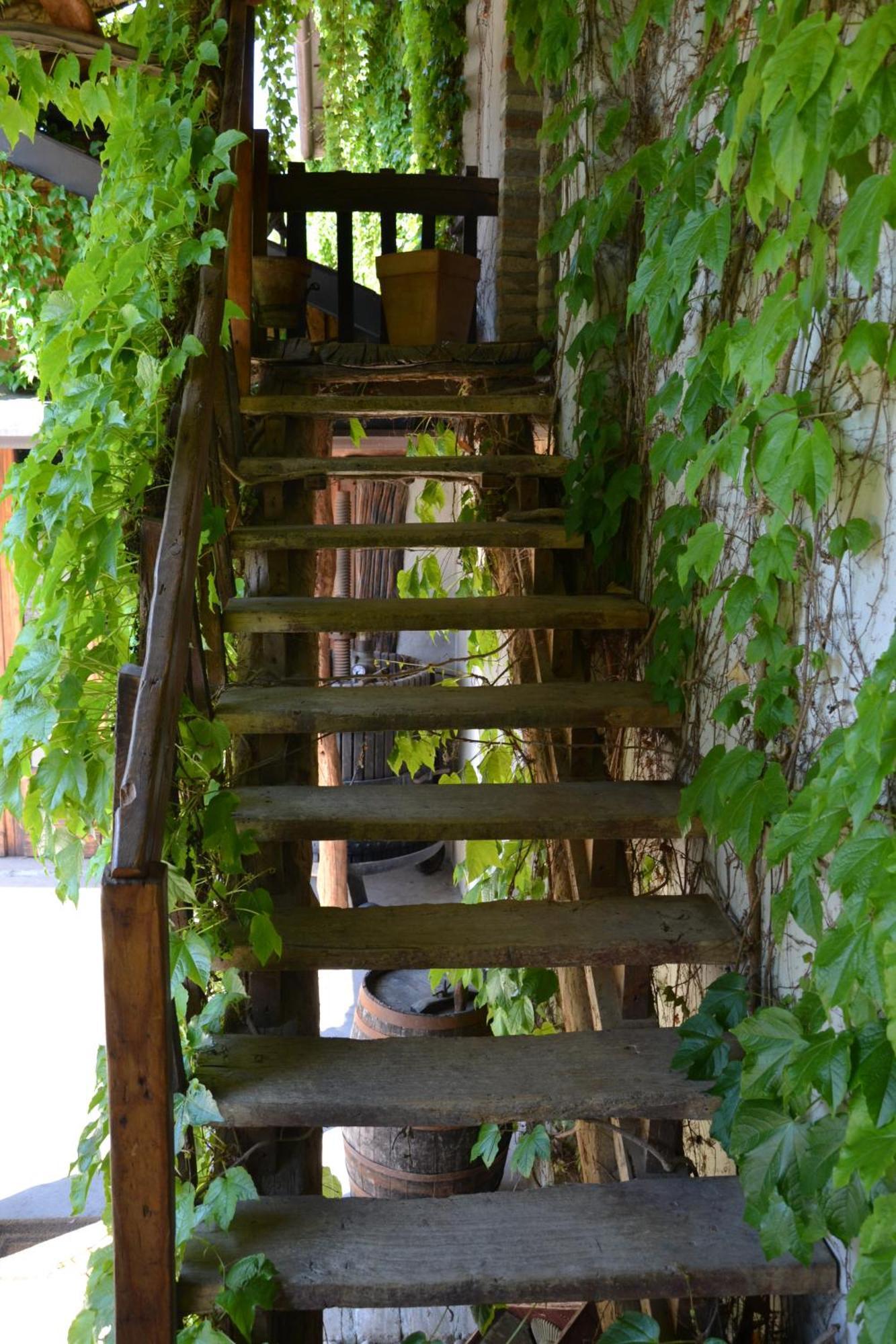 Agriturismo Torrazzetta Casteggio Kamer foto